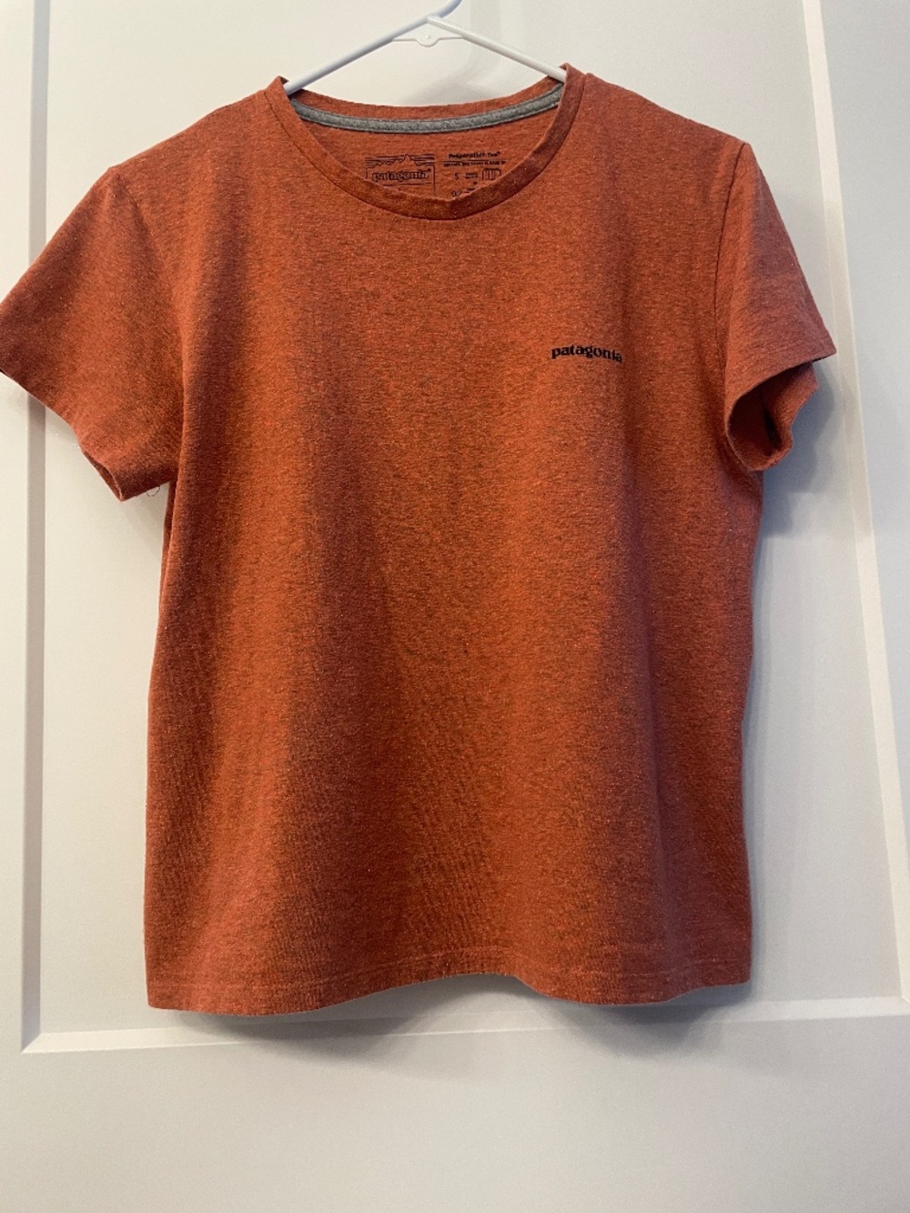 Patagonia T Shirt